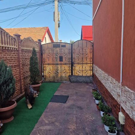 Casa Cojanu Petroşani Exterior foto