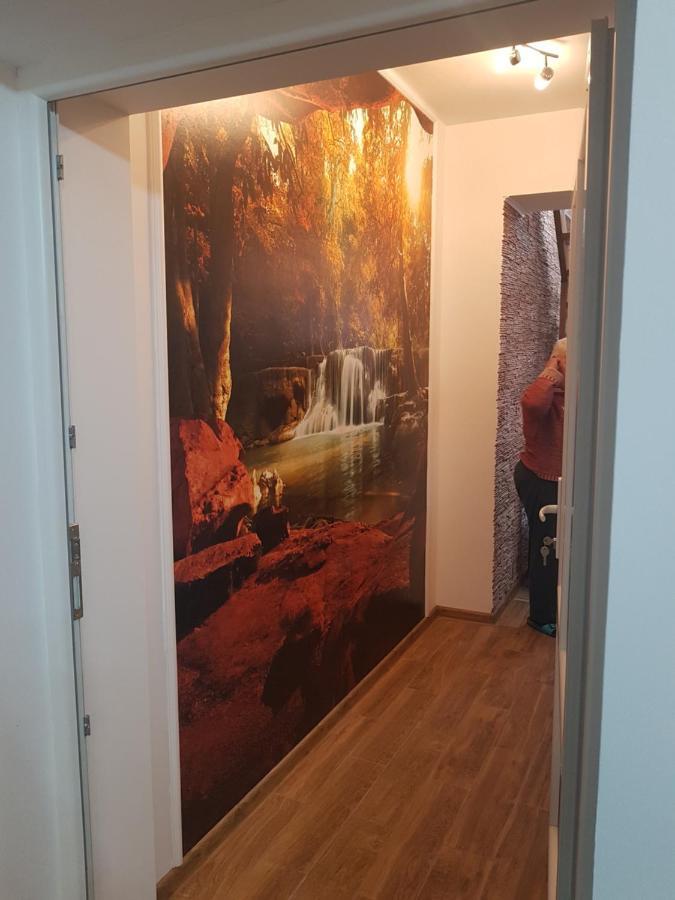 Casa Cojanu Petroşani Exterior foto