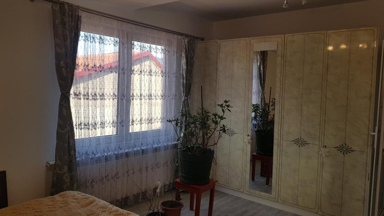 Casa Cojanu Petroşani Exterior foto