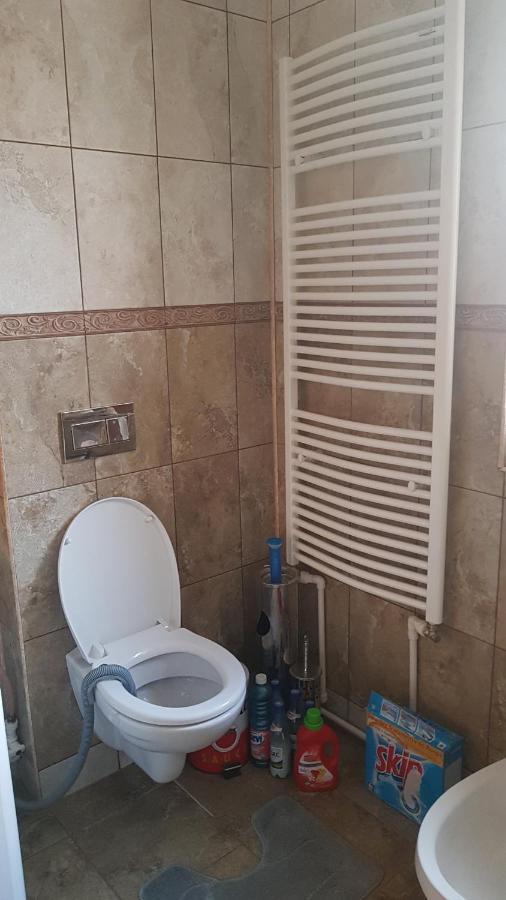 Casa Cojanu Petroşani Exterior foto