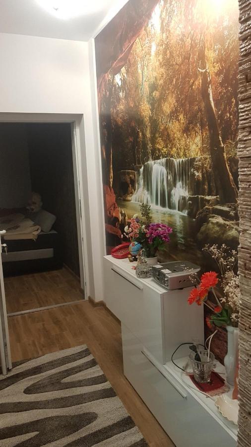 Casa Cojanu Petroşani Exterior foto